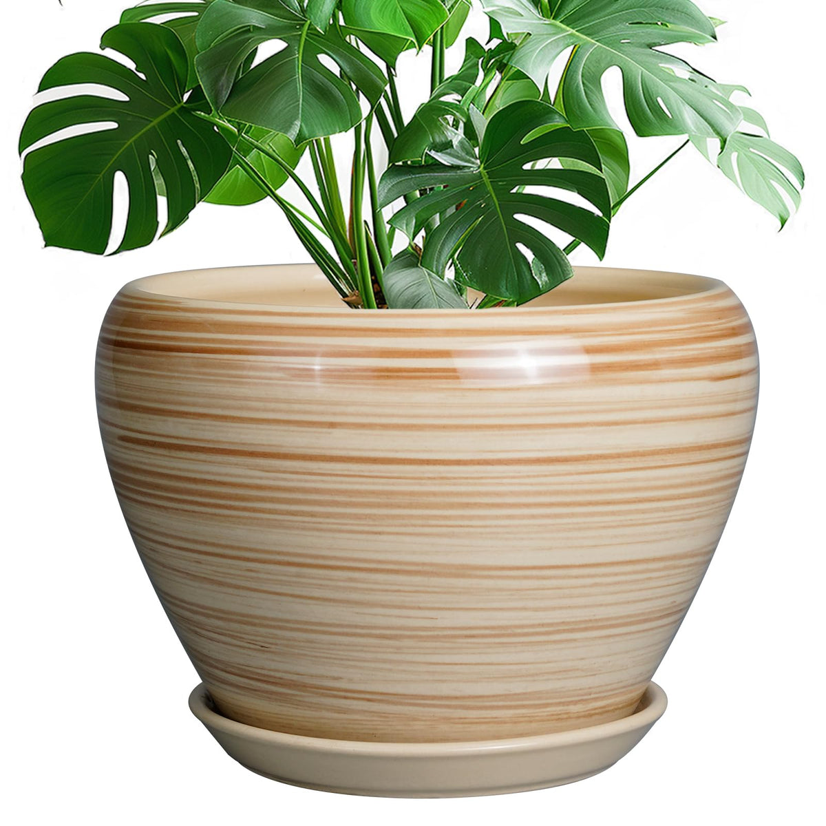 Ceramicfor front view yellow planter showing modern round shape and bright color benefit