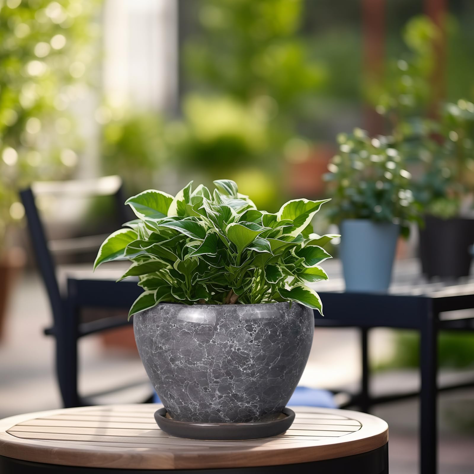Ceramicfor planter on windowsill with plant illustrating bright placement benefit