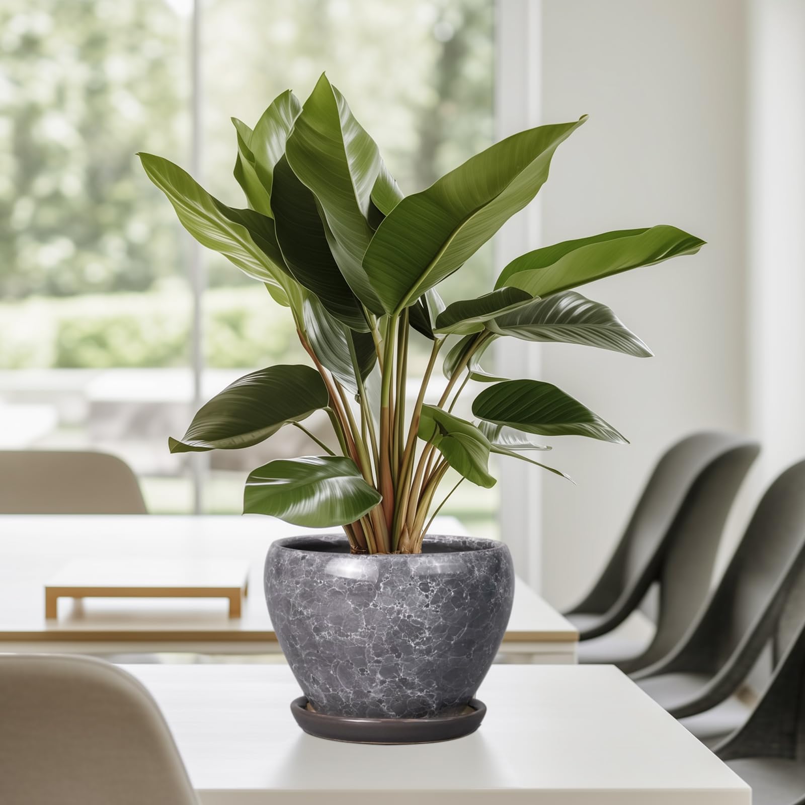 Ceramicfor on desk with plant showing decorative styling and workspace freshness benefit