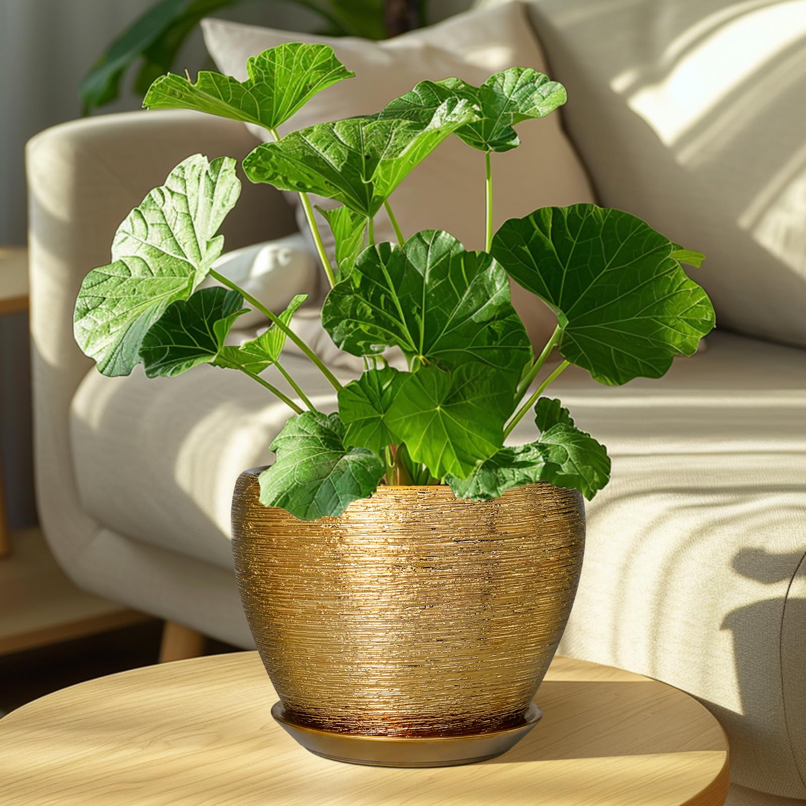 Ceramicfor maceta con planta en salón mostrando cómo decora interiores