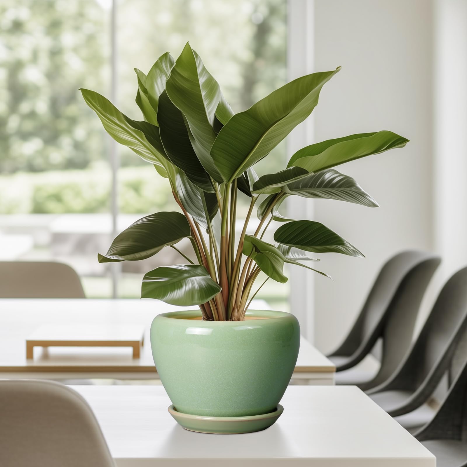 Ceramicfor on patio with plants demonstrating outdoor aesthetic appeal