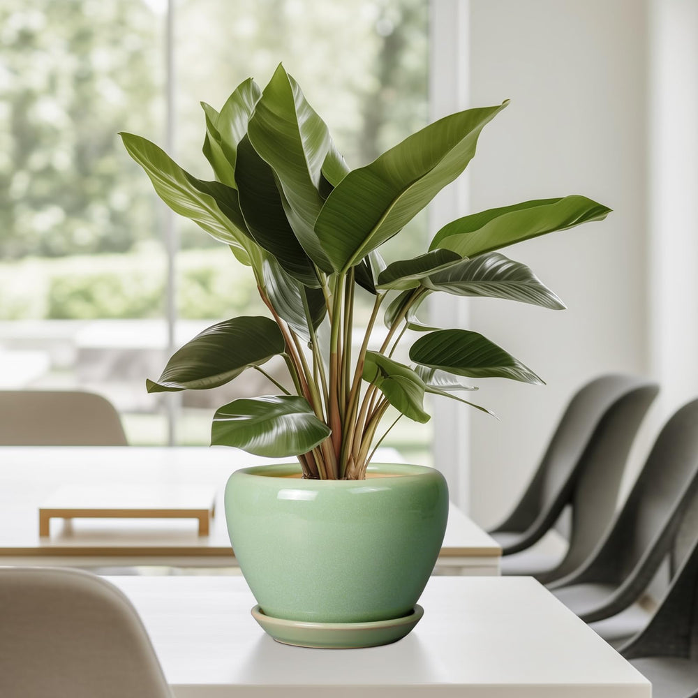 Ceramicfor on patio with plants demonstrating outdoor aesthetic appeal