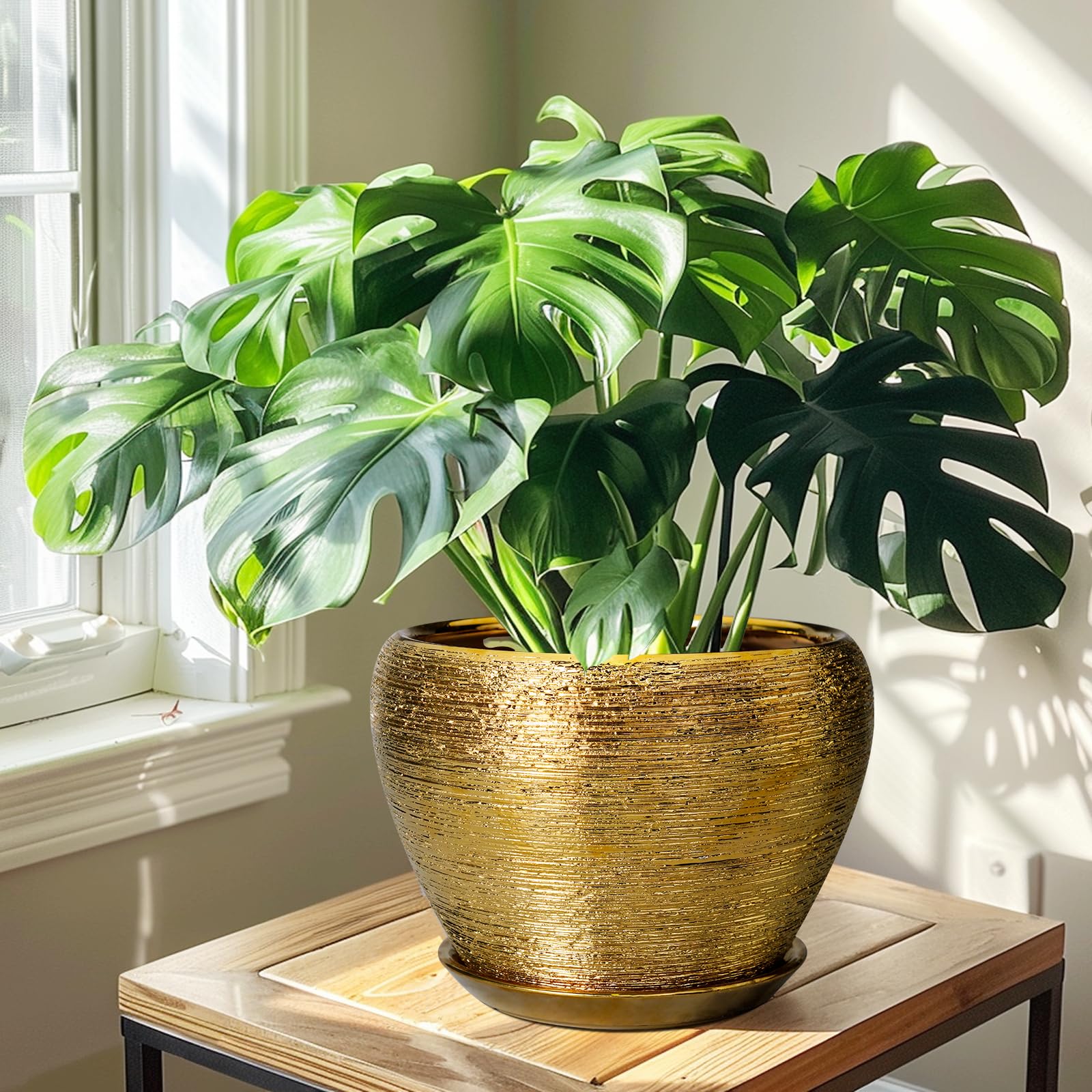 Ceramicfor packaged planter ready to gift showing protective shipping benefit