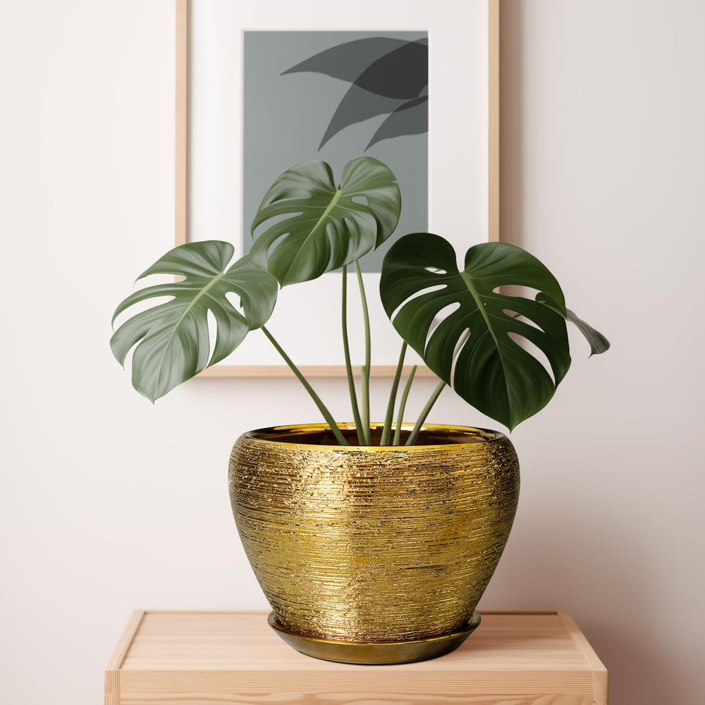 Ceramicfor planter on wooden stand styling home decor with elevated display benefit