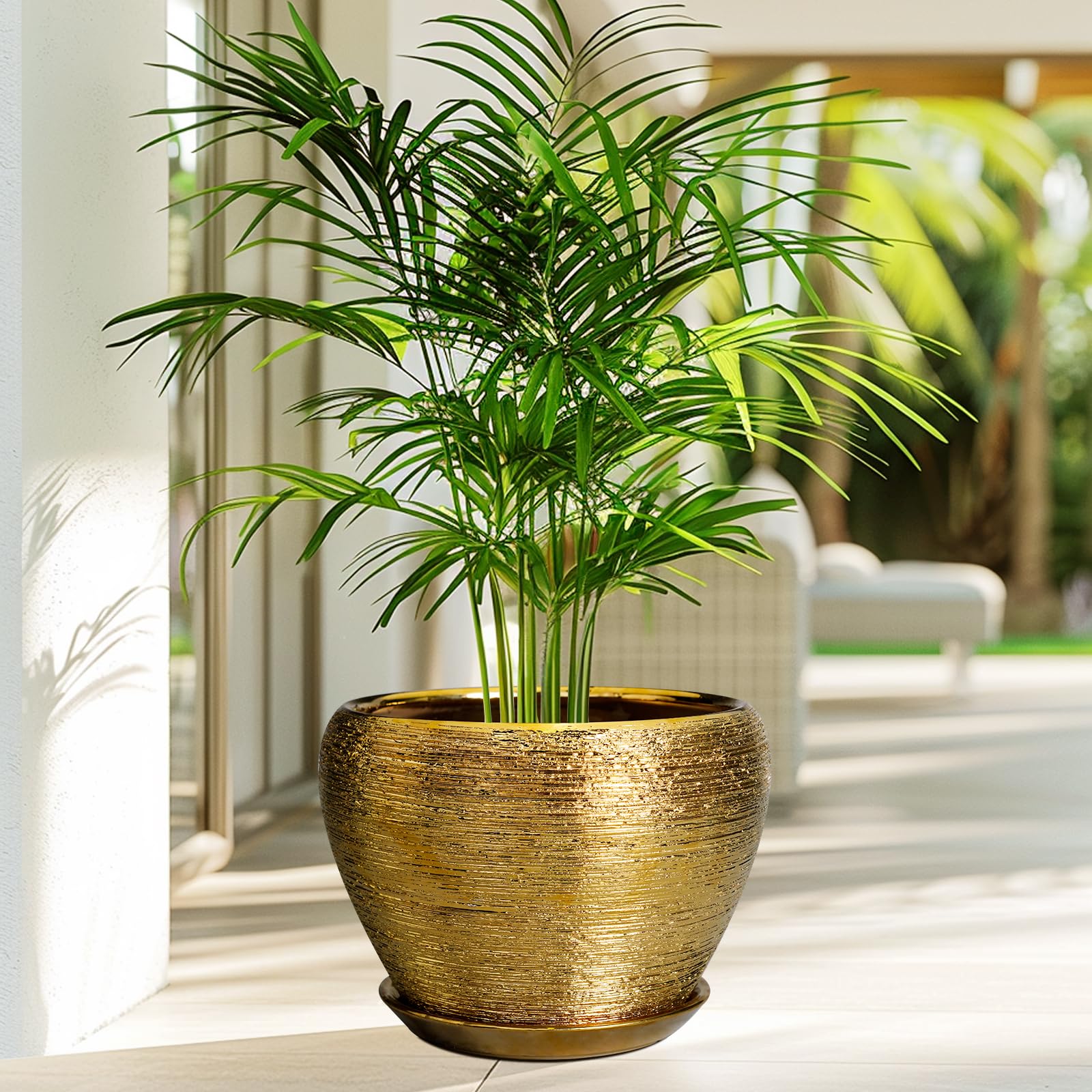Ceramicfor planter beside book demonstrating size and scale benefit