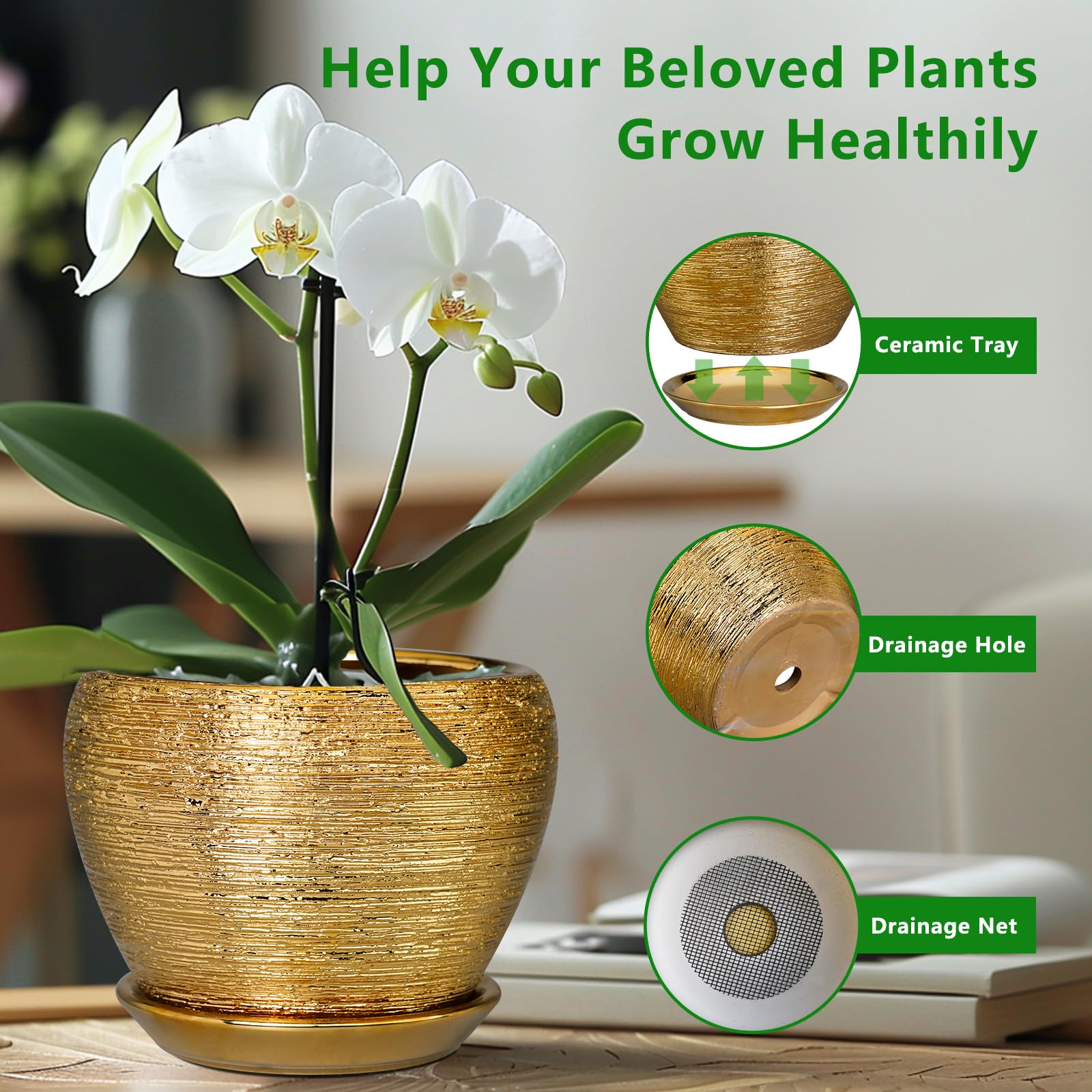 Ceramicfor planter holding cactus showing versatility for succulents benefit