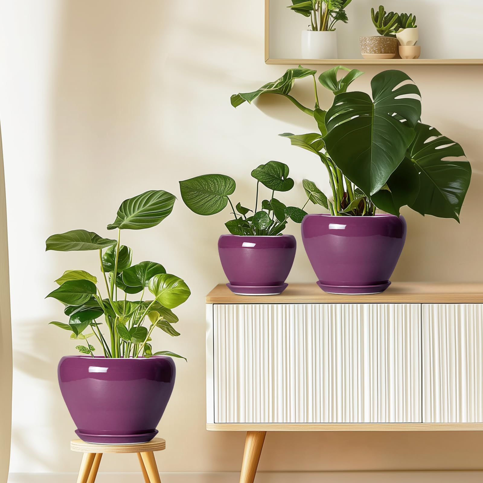 Ceramicfor pot placed on living room shelf illustrating décor enhancement