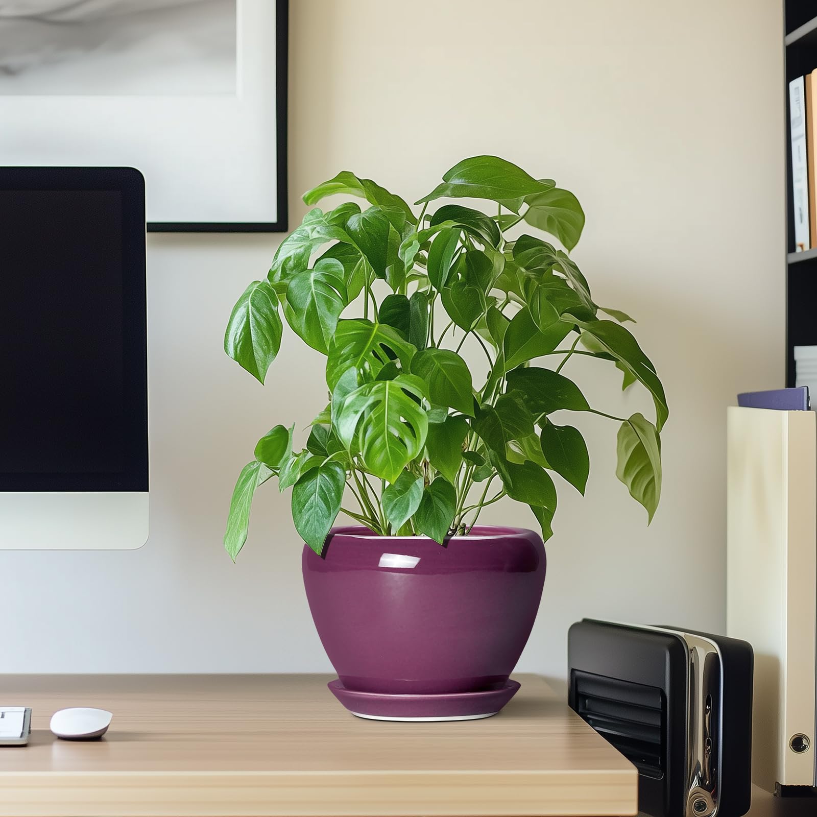 Ceramicfor pot with succulent planted to demonstrate fit and healthy display