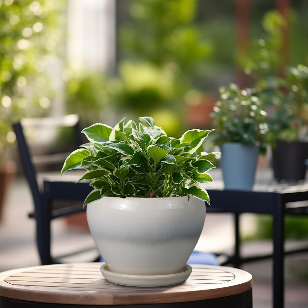 Ceramicfor side profile with saucer demonstrating drip-free tabletop protection