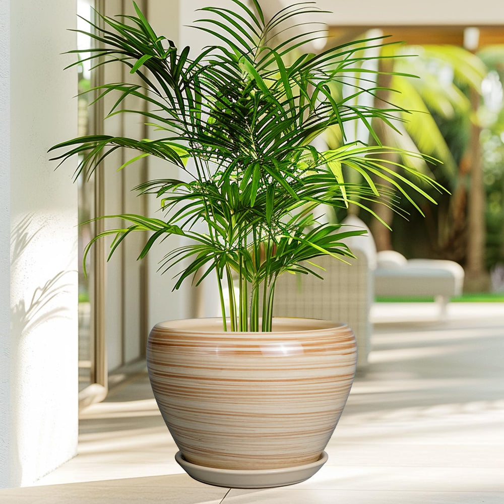 Ceramicfor with saucer detached showing easy cleanup and surface protection benefit