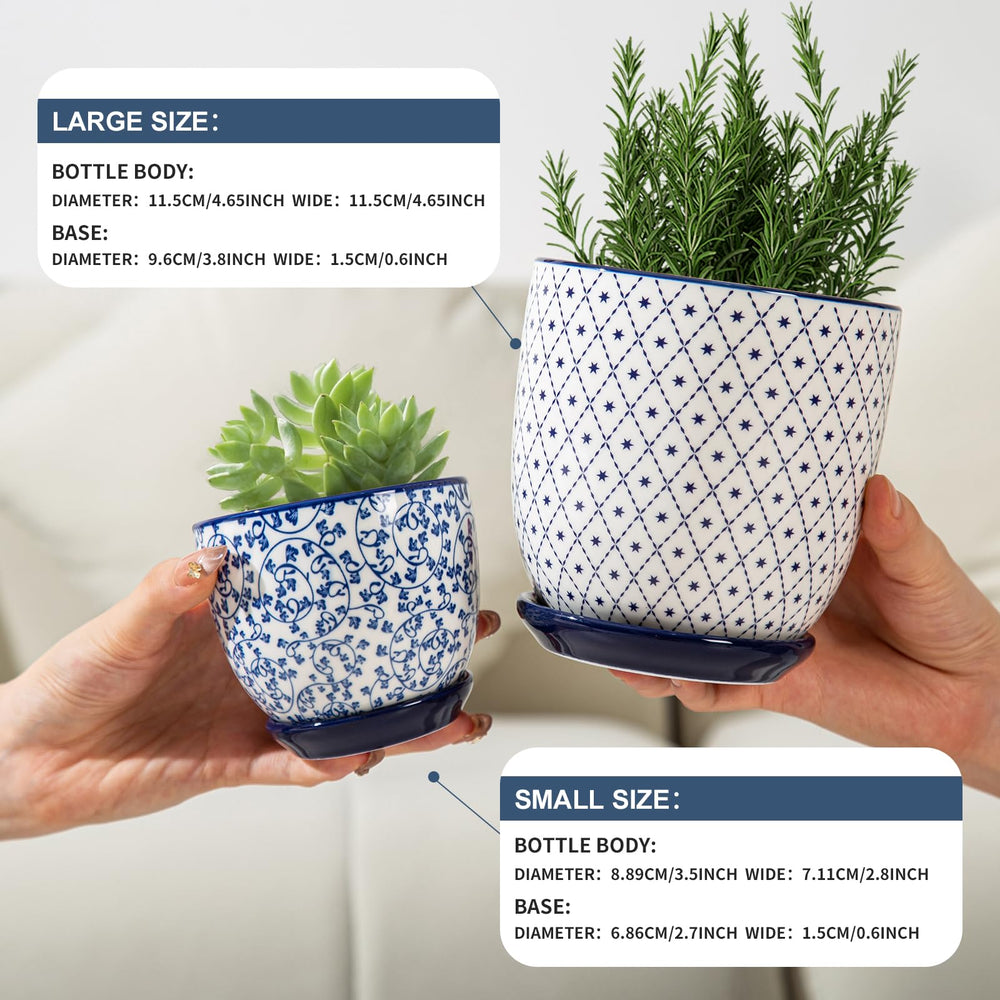 Cerkik pot next to ruler showing 4.6-inch scale for accurate sizing benefit