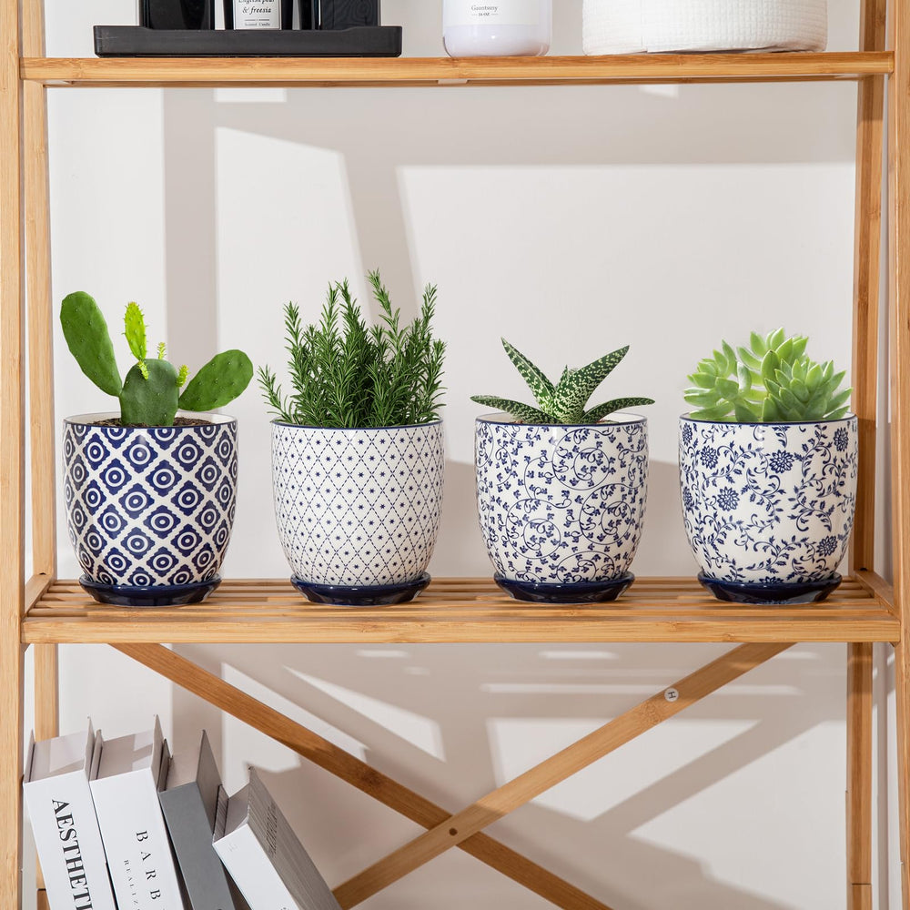 Cerkik set with succulents on windowsill providing compact greenery for small spaces benefit