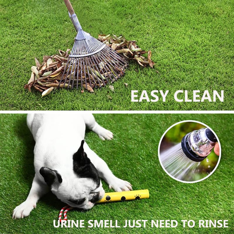 Cestavie turf in use with dog resting, offering an easy-clean pet surface