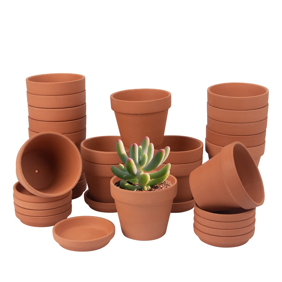 CFKJ front view of 17 terracotta pots showing uniform set and organization