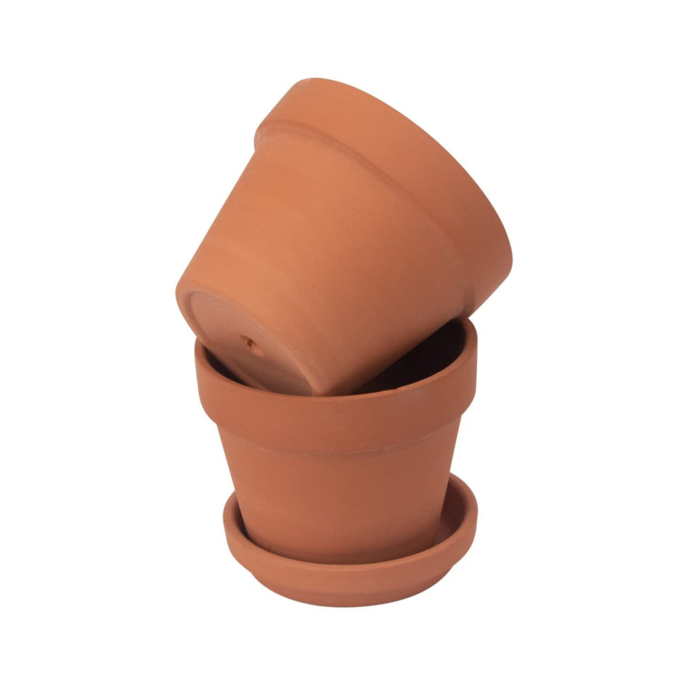 CFKJ gift-wrapped pots displayed for favors showing presentable gifting option