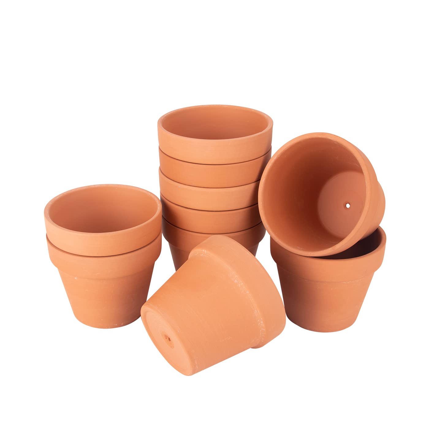 CFKJ desk garden with multiple pots showing workspace greenery benefit