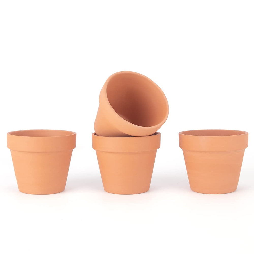 CFKJ lined row on windowsill demonstrating decorative display benefit
