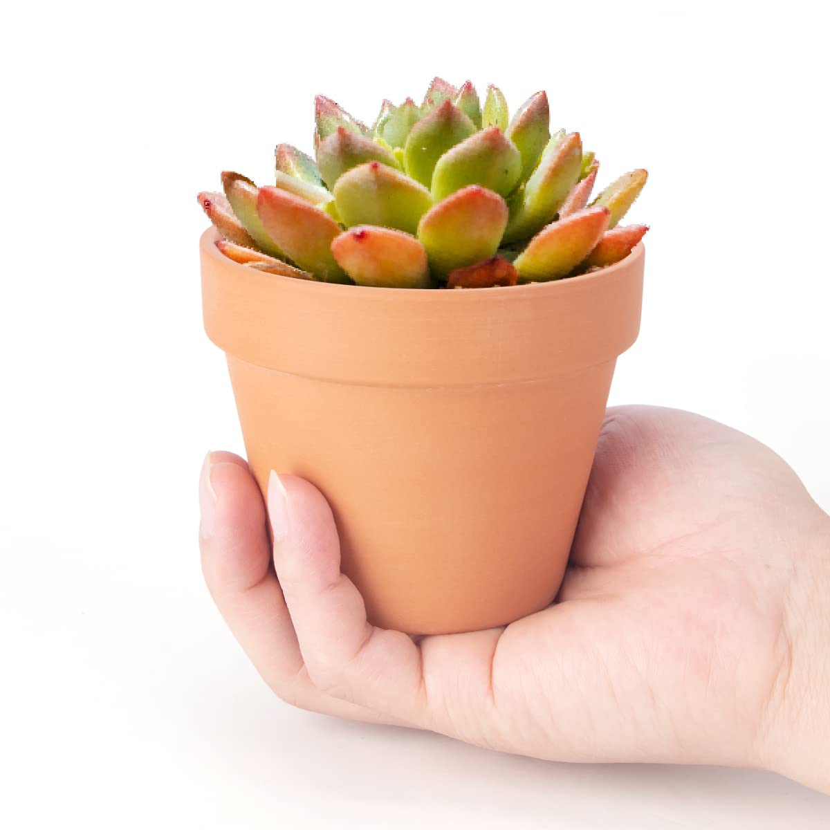 CFKJ pot next to ruler showing 4-inch diameter for accurate sizing benefit
