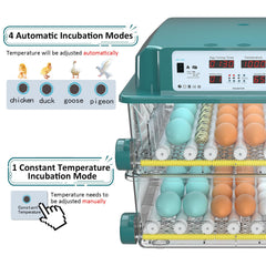Chalixion adjustable egg rollers holding eggs securely for even turning