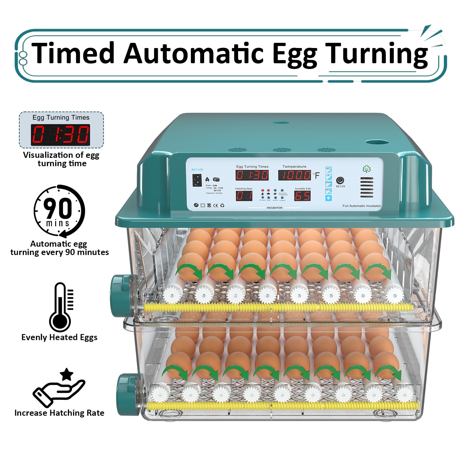 Chalixion built-in egg candler revealing embryo progress for quick checks