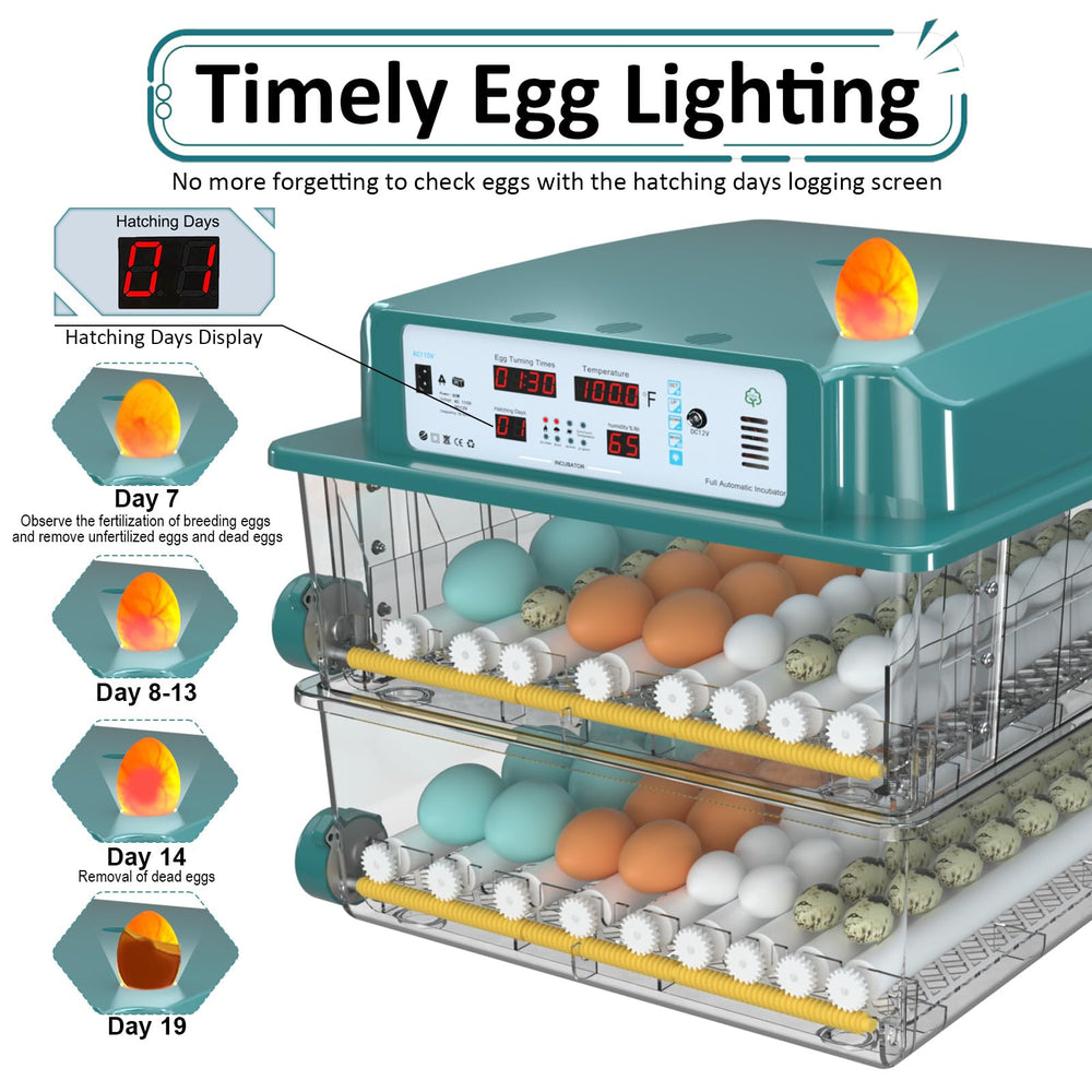 Chalixion chick feeder and waterer accessories included for immediate brooding