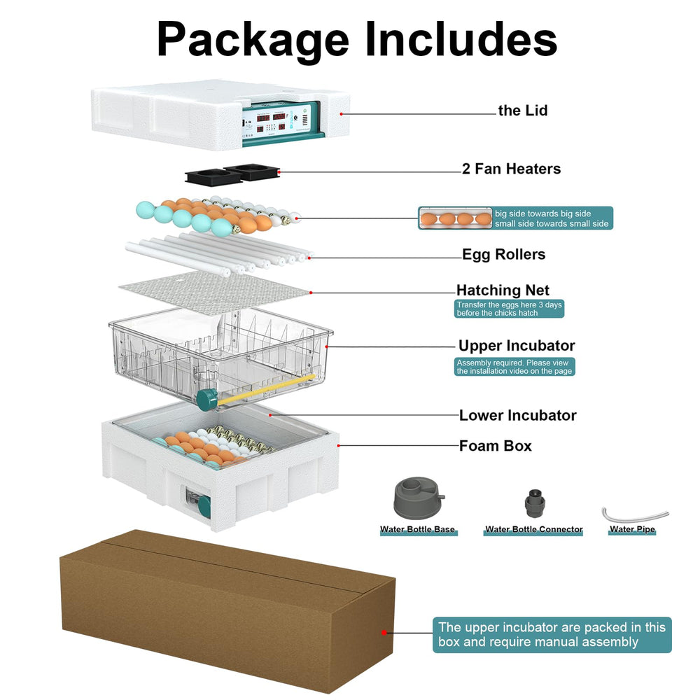 Chalixion open lid with eggs demonstrating capacity and organized layout