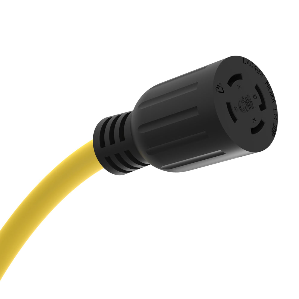Champion female end connected to transfer switch demonstrating proper safe hookup