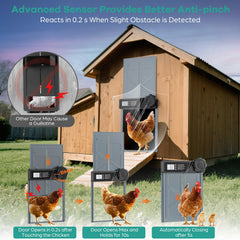 CHAMUTY sliding door opening with a chicken passing for convenient access