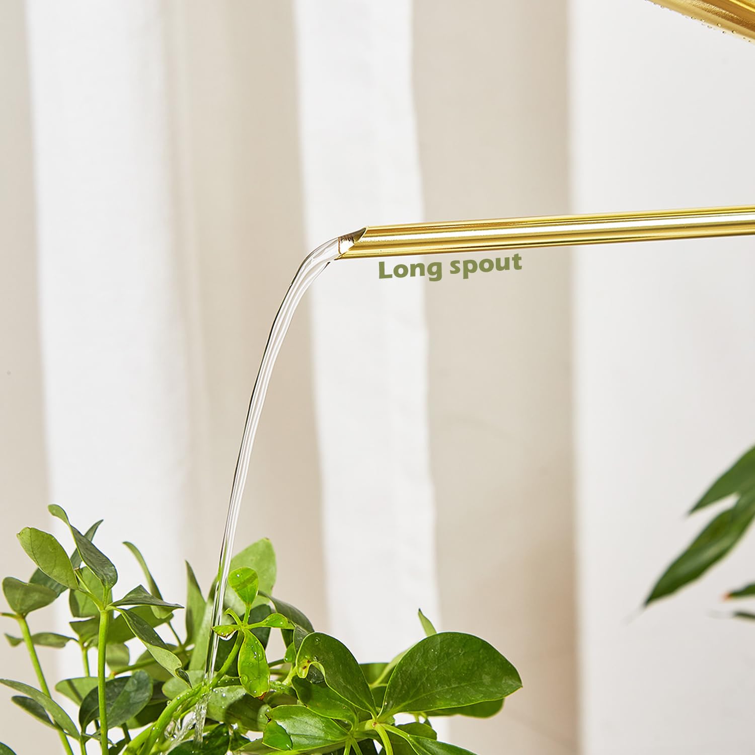 Chemlliy in use watering a bonsai showing accurate delivery and reduced spills