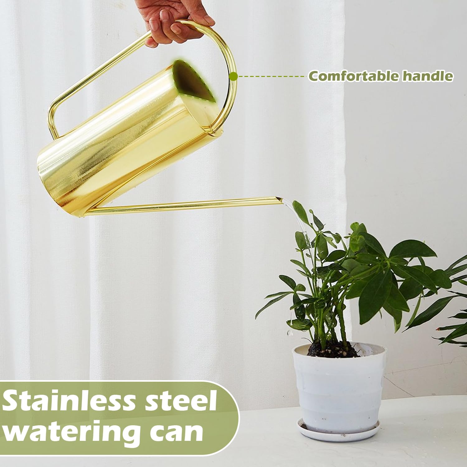 Chemlliy size comparison with hand and pot demonstrating 50 oz capacity convenience