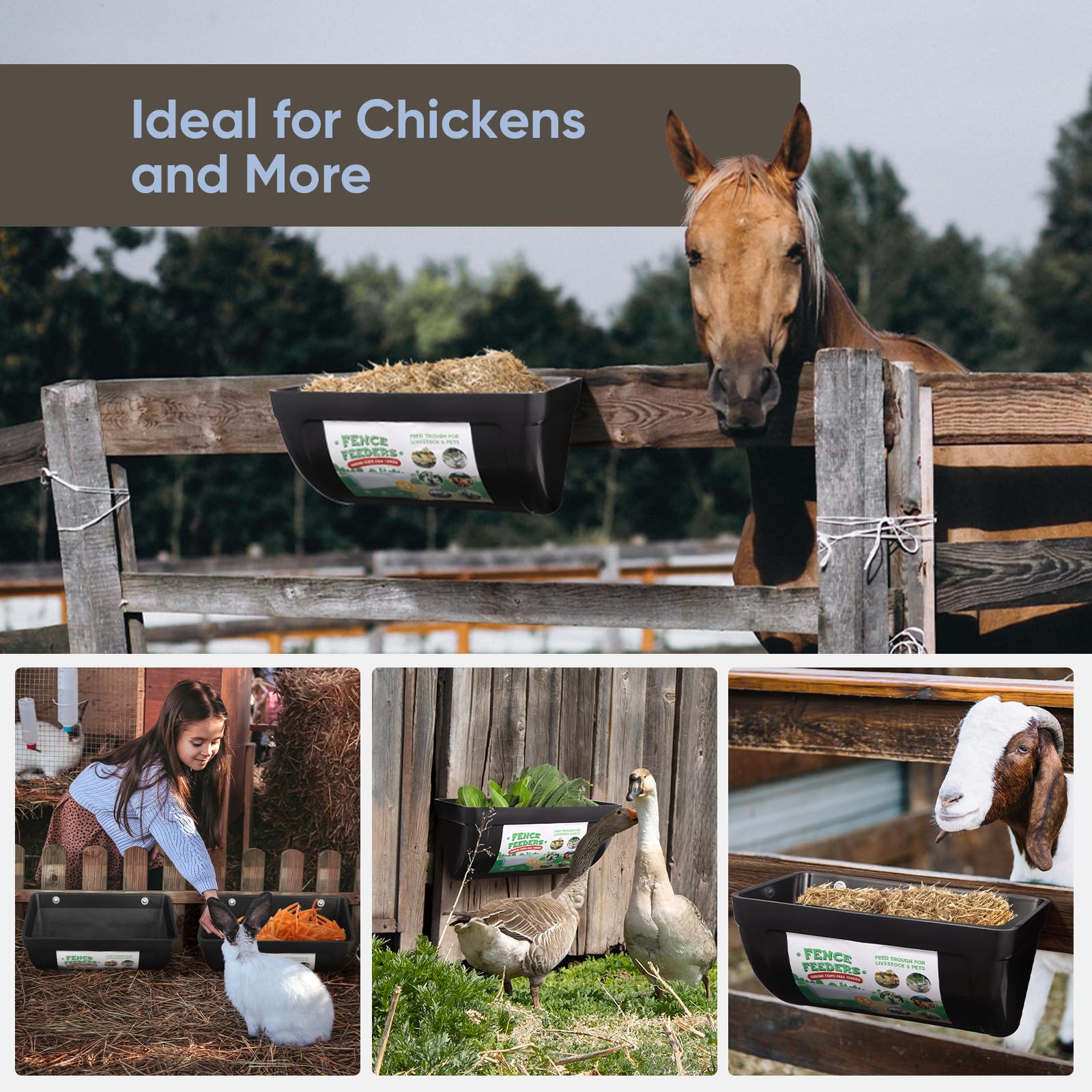 Chewoof feeder filled with grain showing organized feeding and reduced waste benefit
