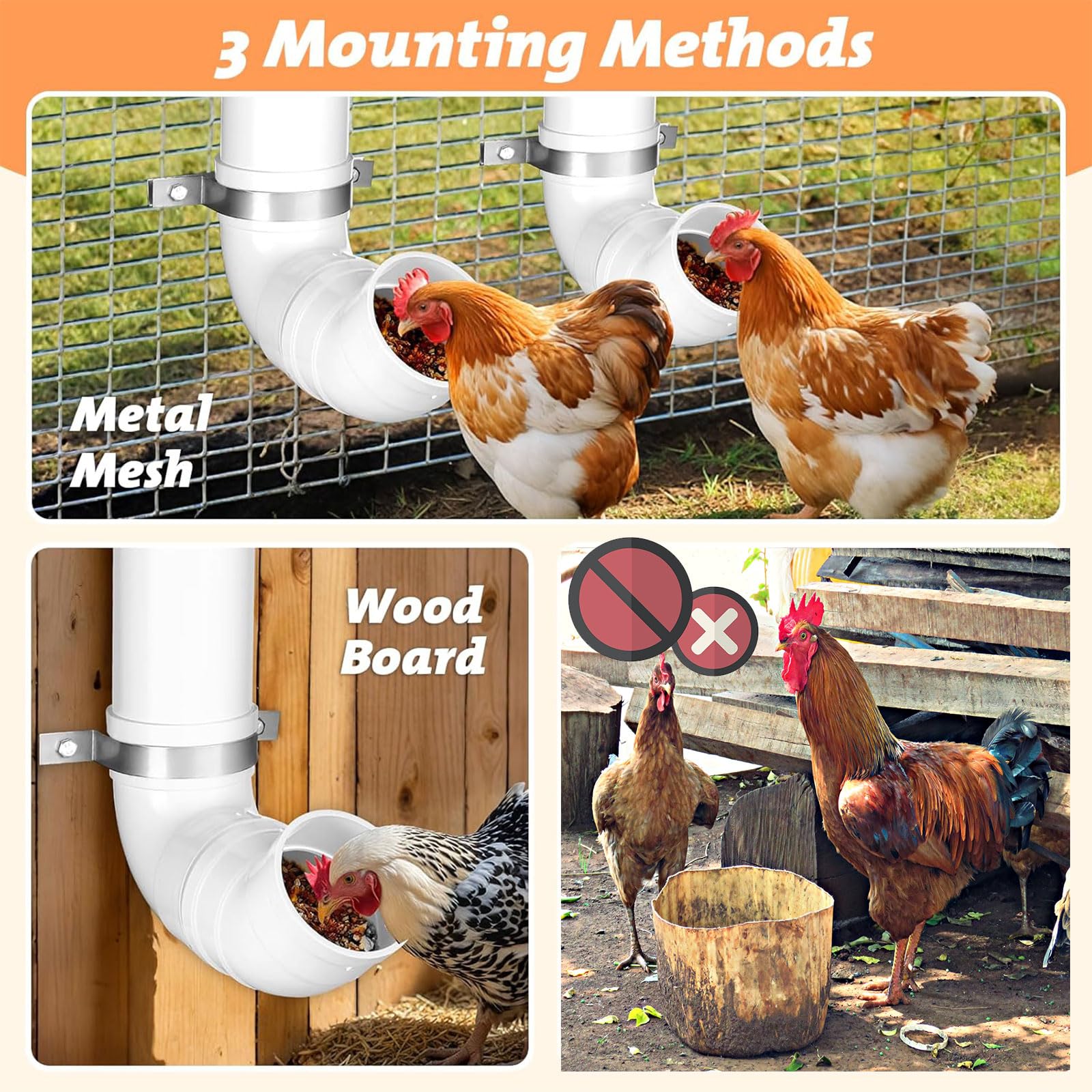 Chewoof wall-mounted feeder with chickens feeding, reducing floor waste