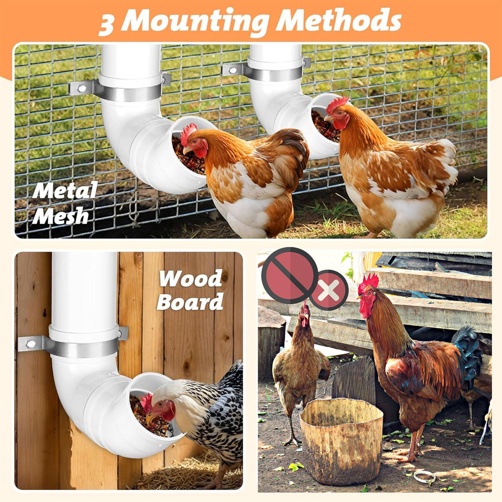 Chewoof wall-mounted feeder with chickens feeding, reducing floor waste