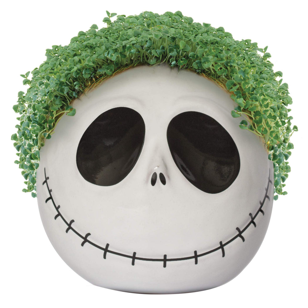 Lifestyle shot of Chia Jack Skellington on a shelf adding whimsical living greenery to a desk benefit: playful display