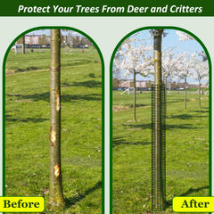 chicarry installed around a young tree demonstrating protection from deer and trimmers