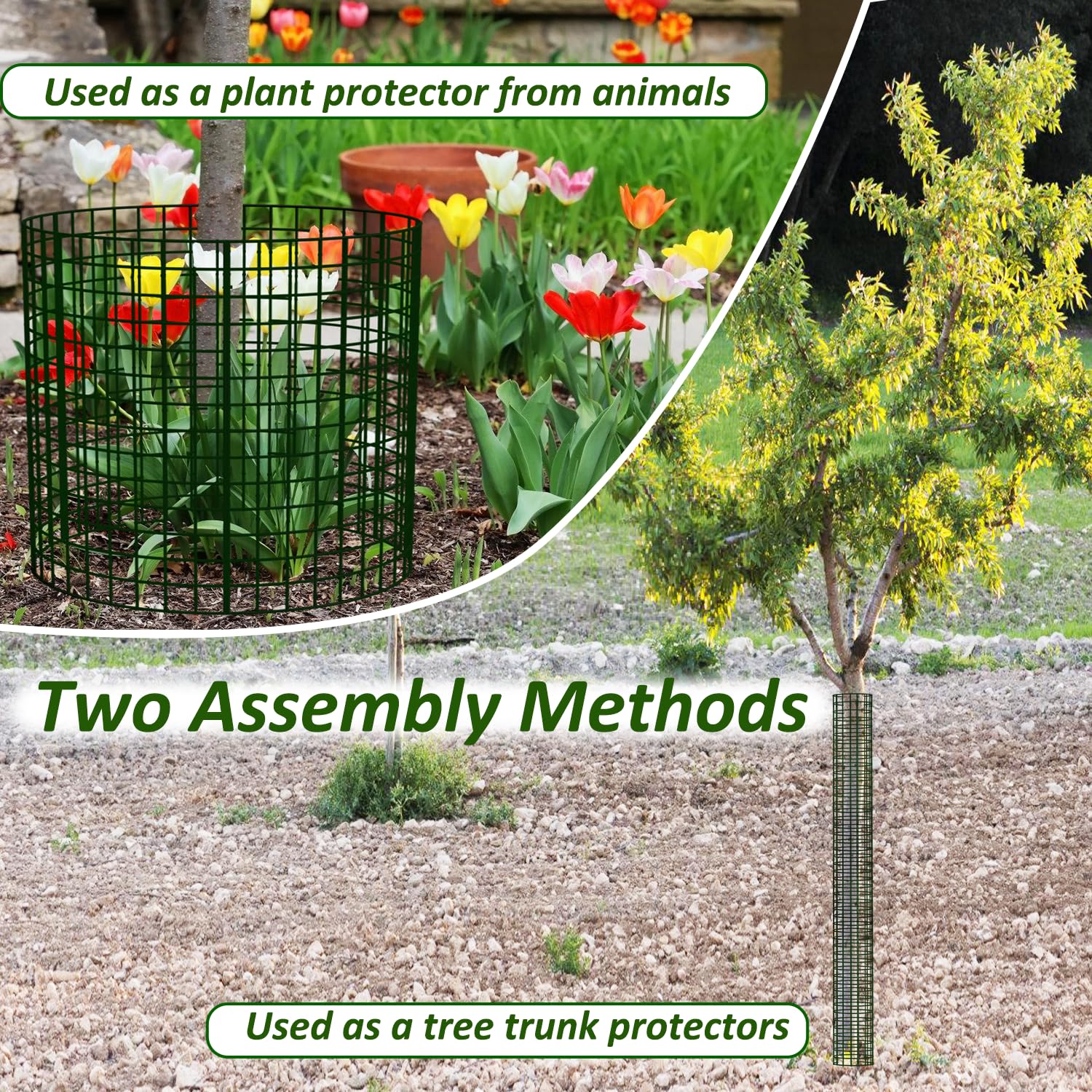 chicarry backyard scene with guards around saplings showing tidy, reliable landscape protection