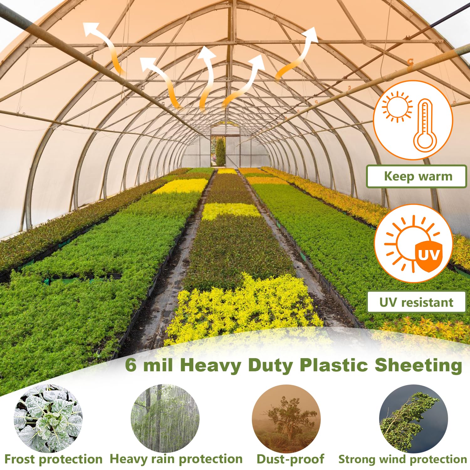 chicarry light diffusion inside greenhouse promoting even plant growth