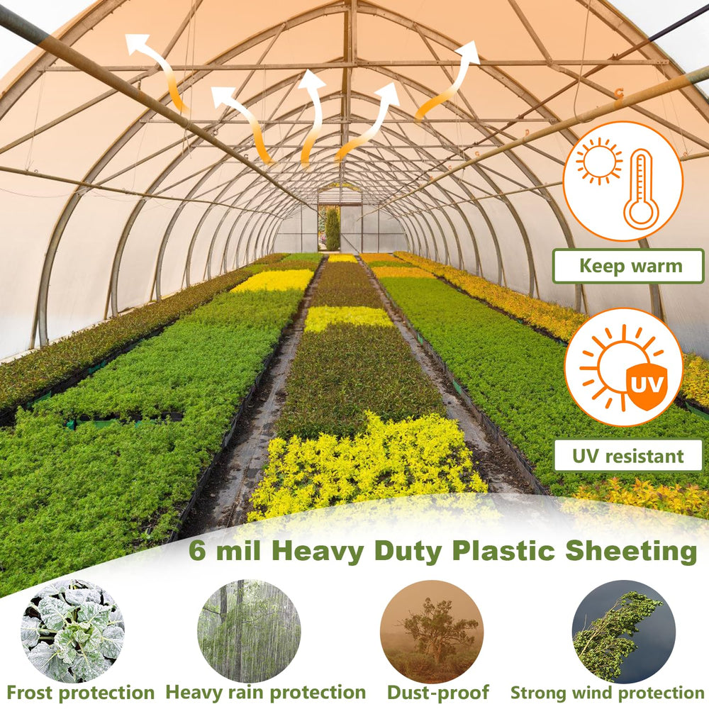 chicarry light diffusion inside greenhouse promoting even plant growth
