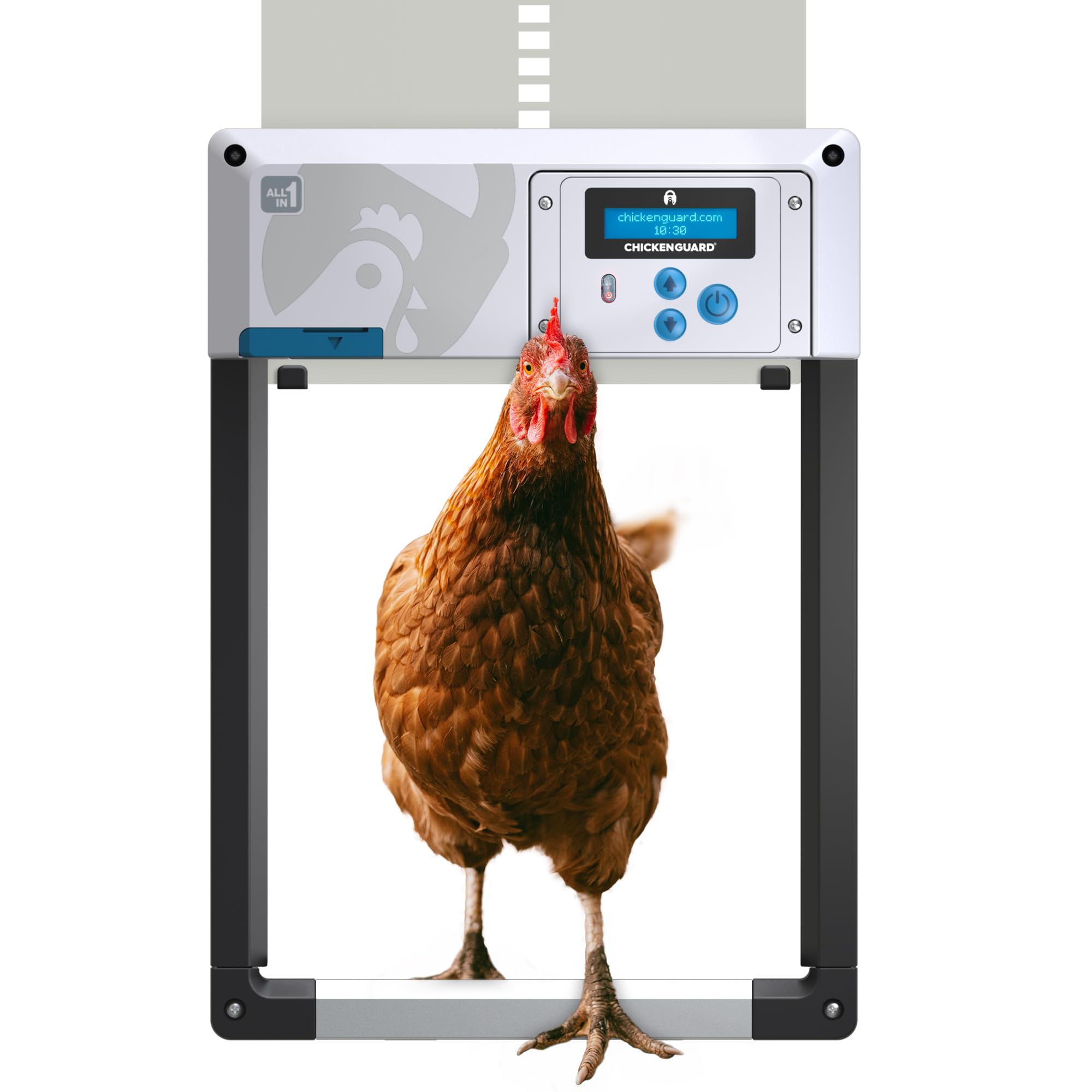 ChickenGuard front assembled door showing full unit and quick installation benefit