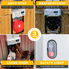 ChickenGuard installed on coop demonstrating reliable operation and convenience benefit