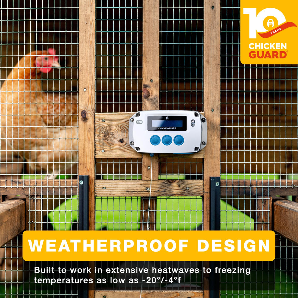 ChickenGuard PRO self-locking door close-up demonstrating predator-resistant self-locking wings