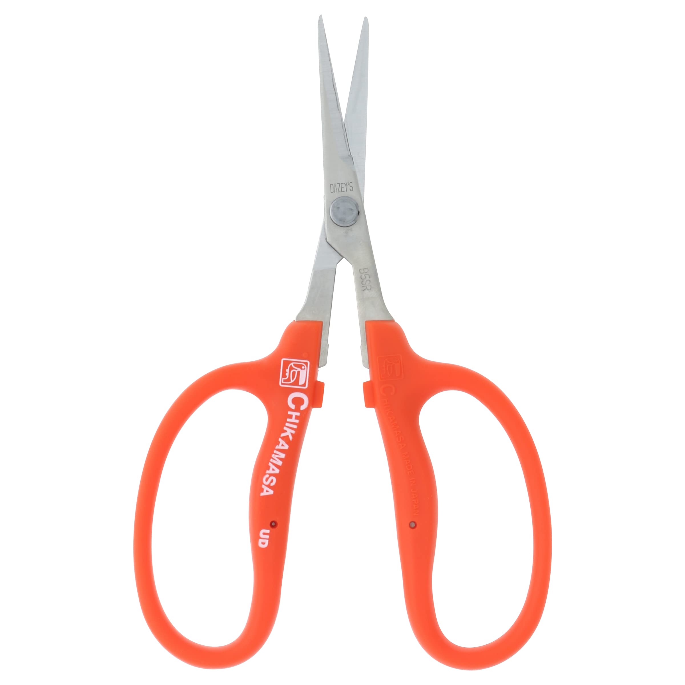 近正 Chikamasa scissors in use pruning flowers for precise clean cuts