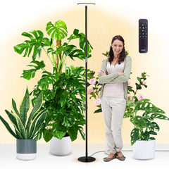 chiphy front view full height shows elegant lamp and even plant lighting benefit