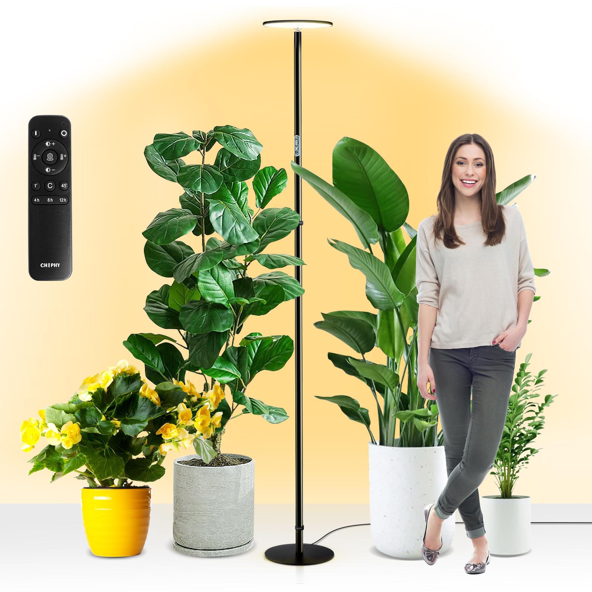 chiphy front view showing sleek floor lamp and space-saving design benefit