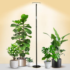 chiphy grow light front view showing sleek black design and wide panel benefit: blends into home decor