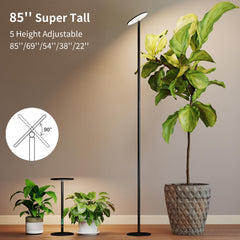 chiphy height extended to 85 inches demonstrating reach for tall indoor plants