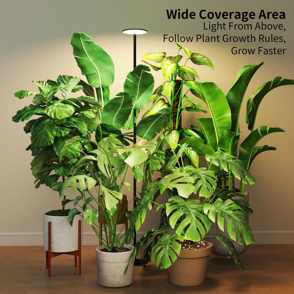 chiphy in use living room plants providing natural-looking light and decor benefit