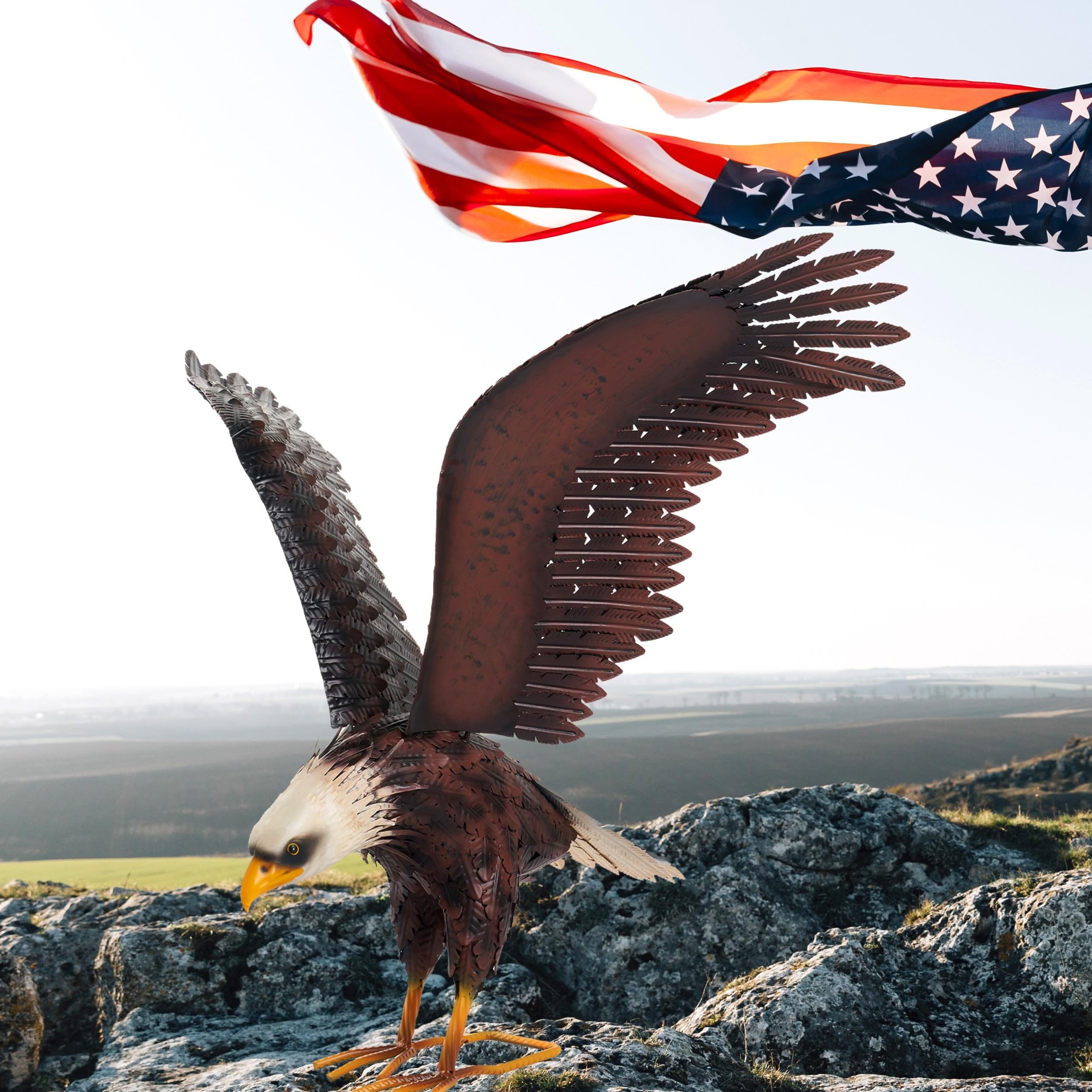 chisheen eagle indoor display enhancing entryway or sunroom decor
