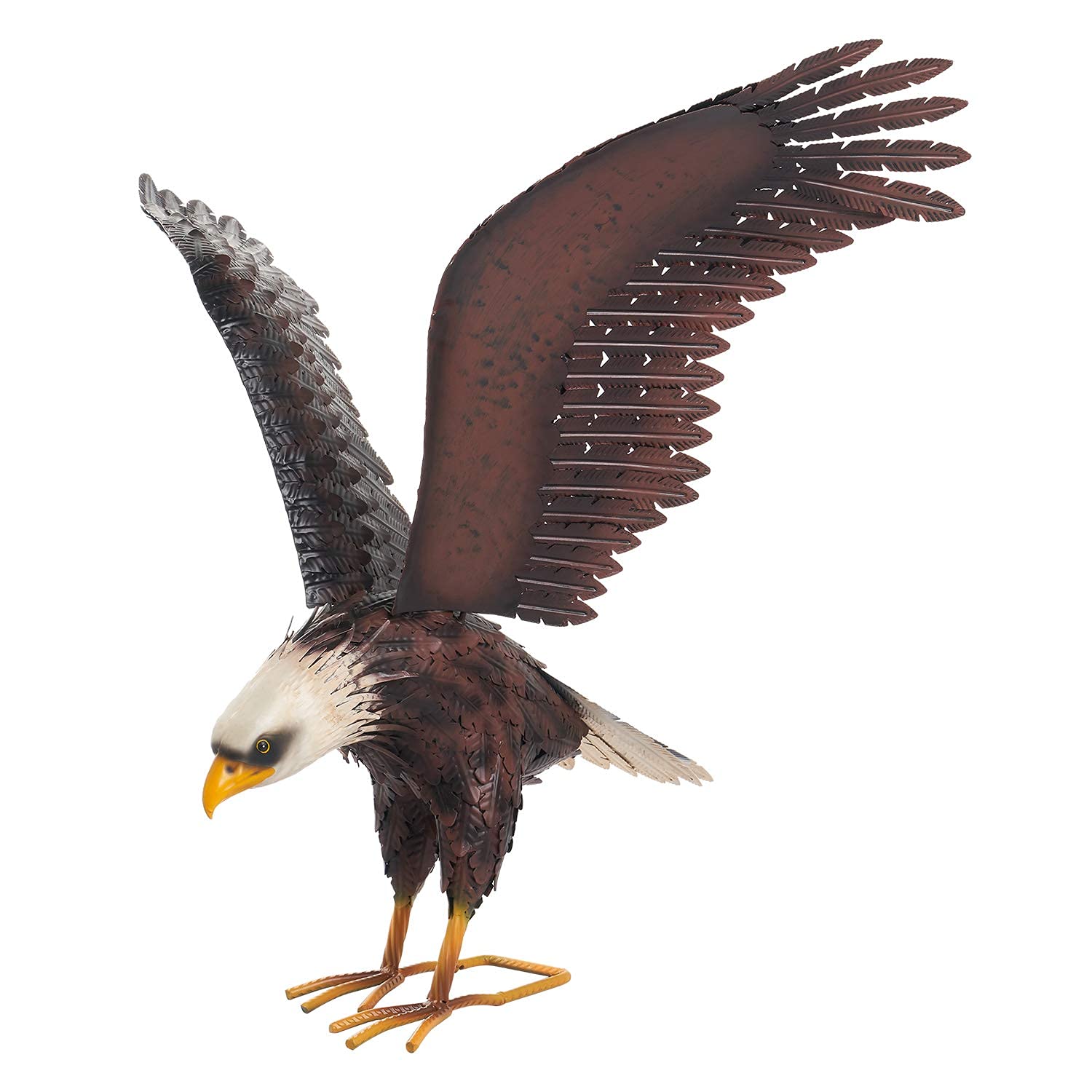 chisheen eagle size scale comparison showing true-to-life large presence