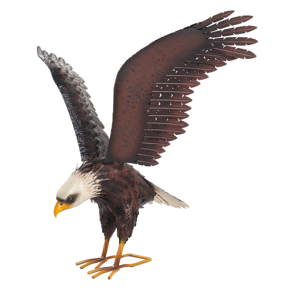 chisheen eagle size scale comparison showing true-to-life large presence